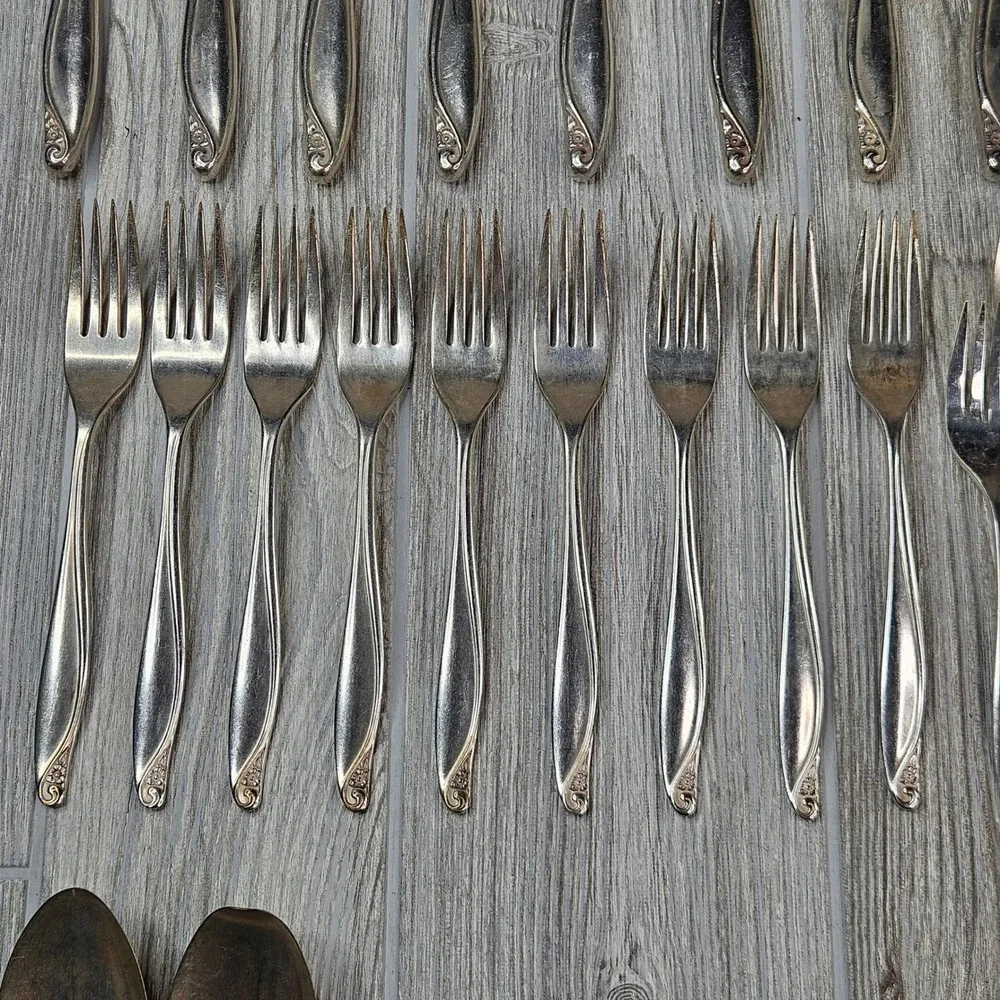 Wm. A. Rogers Oneida Flowertime Silver Overlaid Flatware Set 50 Pieces Vintage